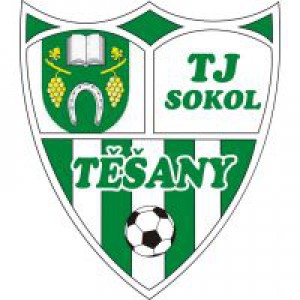 tj-sokol-tesany.jpeg